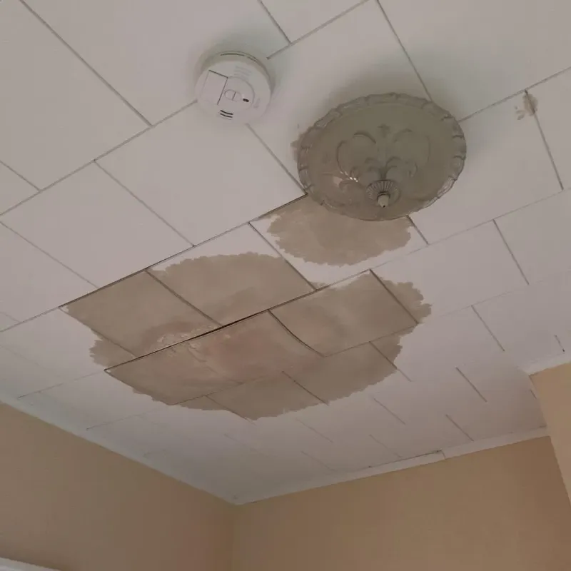 Ceiling Water Damage Repair in Bluffton, SC