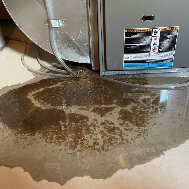 Pipe Burst and Leak Restoration in Bluffton, SC